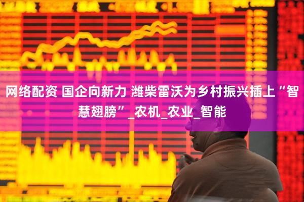 网络配资 国企向新力 潍柴雷沃为乡村振兴插上“智慧翅膀”_农机_农业_智能